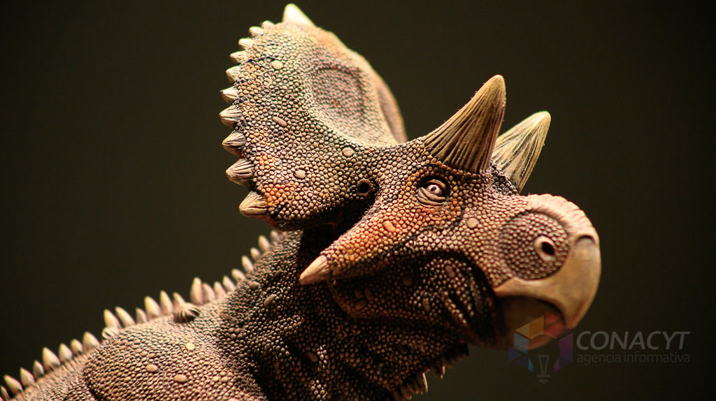 dinosaurio Yehuecauhceratops mudei
