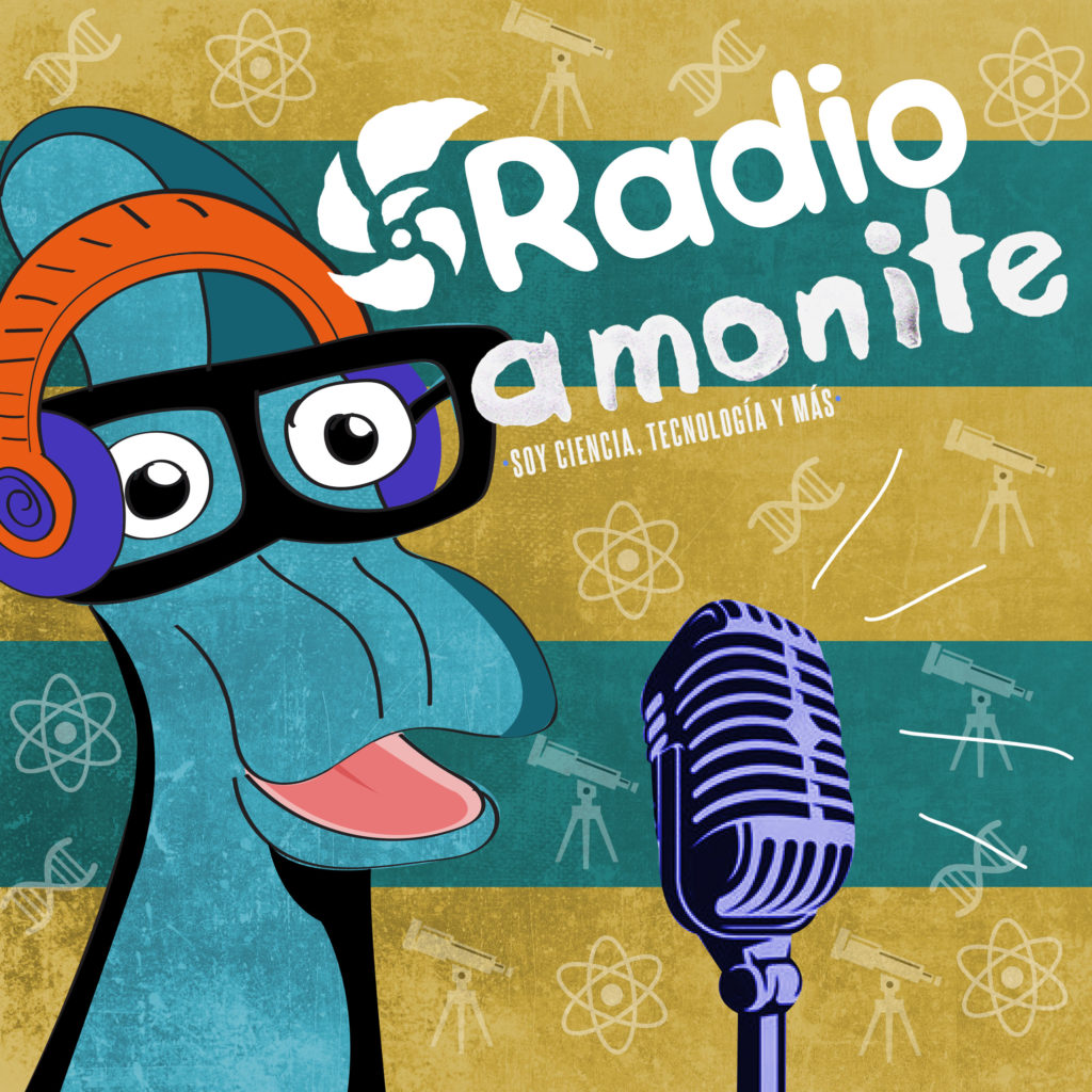 radio amonite